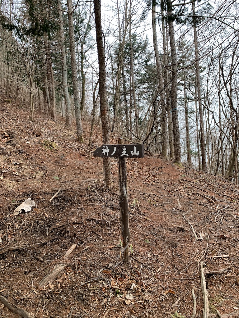 f:id:Acrophobia:20190318011725j:image