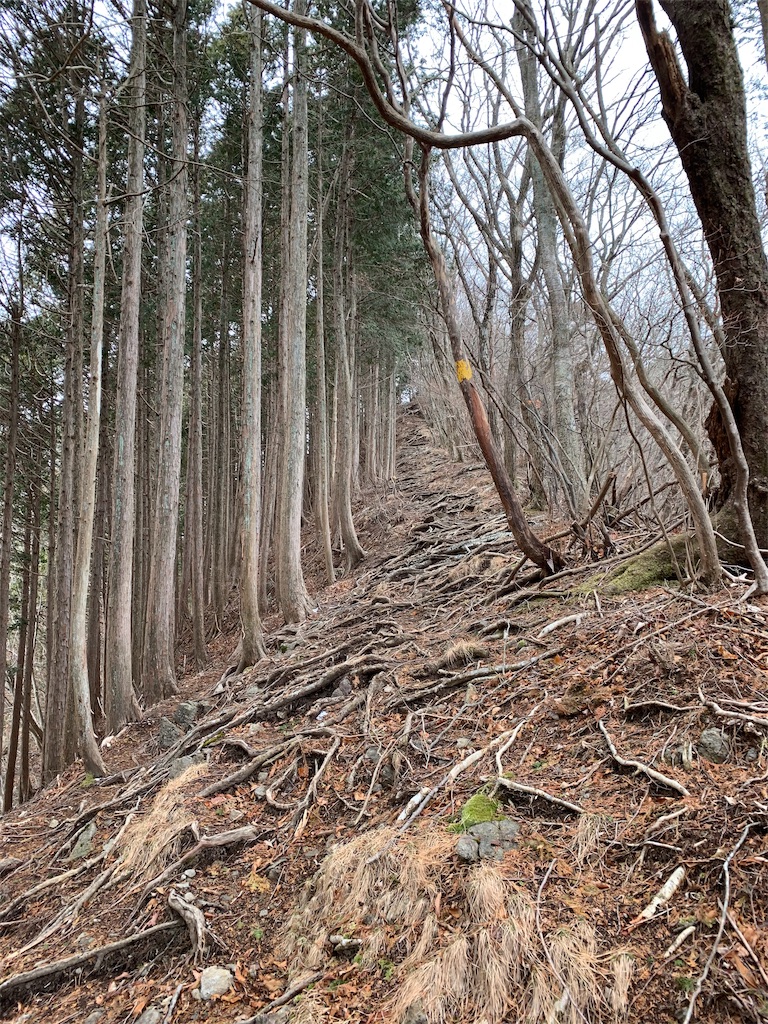 f:id:Acrophobia:20190318013906j:image