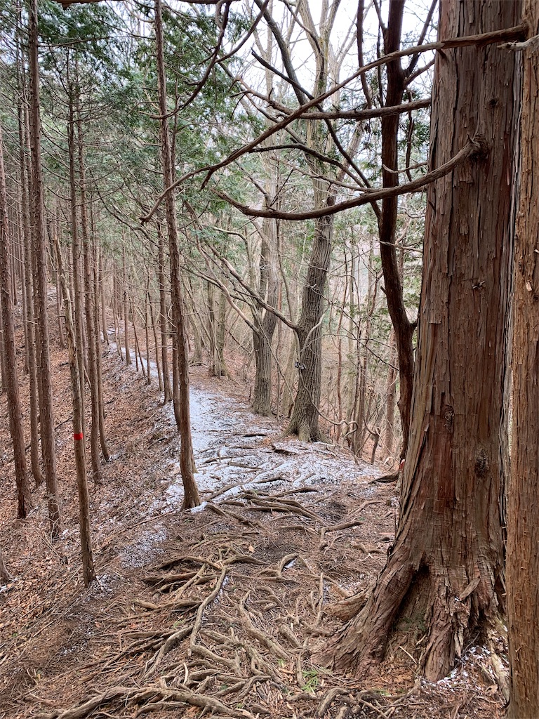f:id:Acrophobia:20190318013910j:image