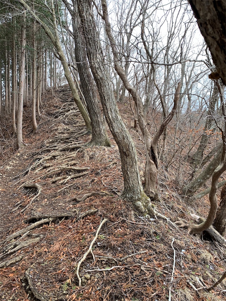 f:id:Acrophobia:20190318013919j:image