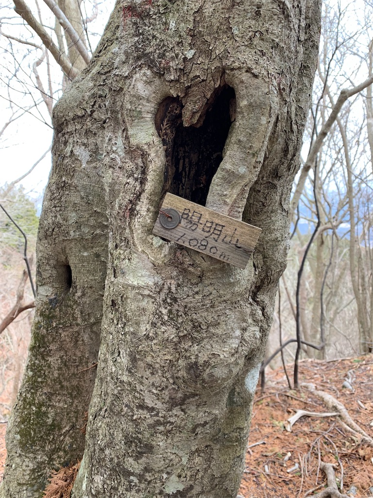 f:id:Acrophobia:20190318014657j:image