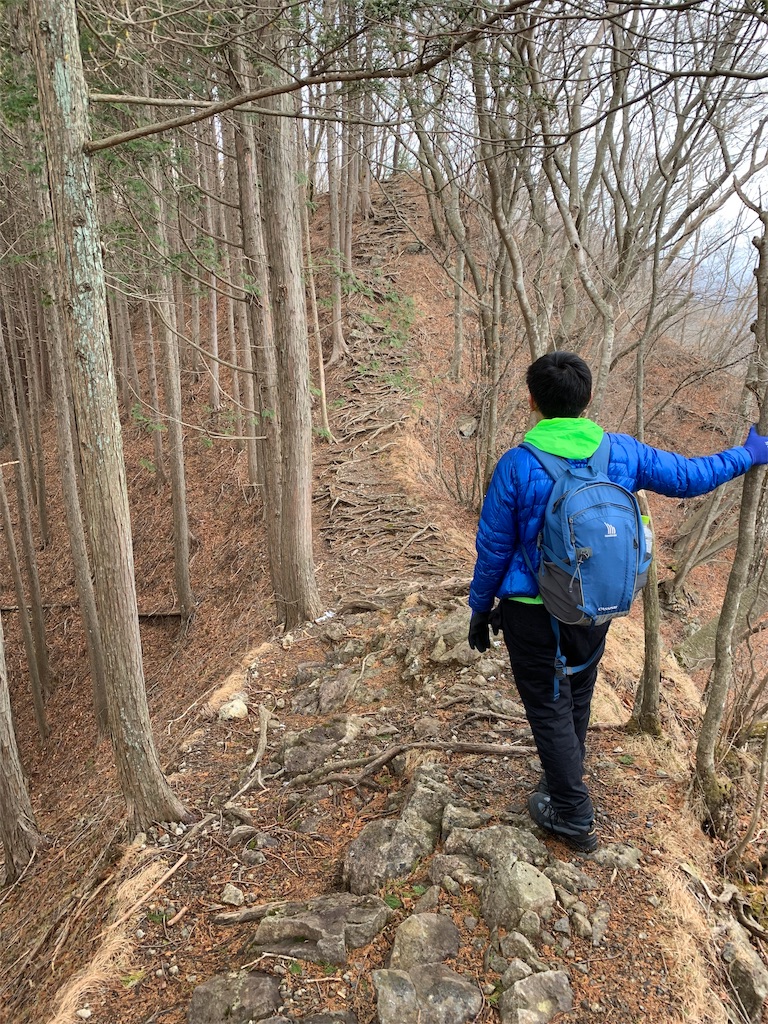 f:id:Acrophobia:20190318015015j:image