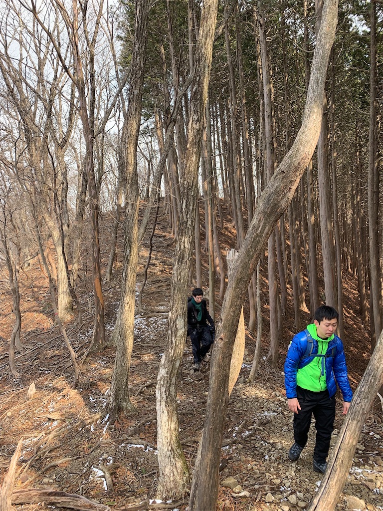 f:id:Acrophobia:20190318015332j:image