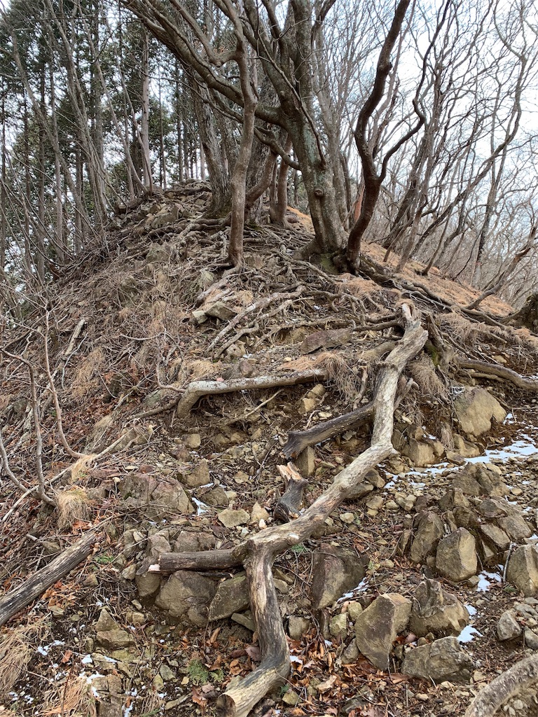f:id:Acrophobia:20190318015335j:image