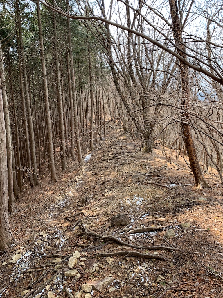 f:id:Acrophobia:20190318015339j:image