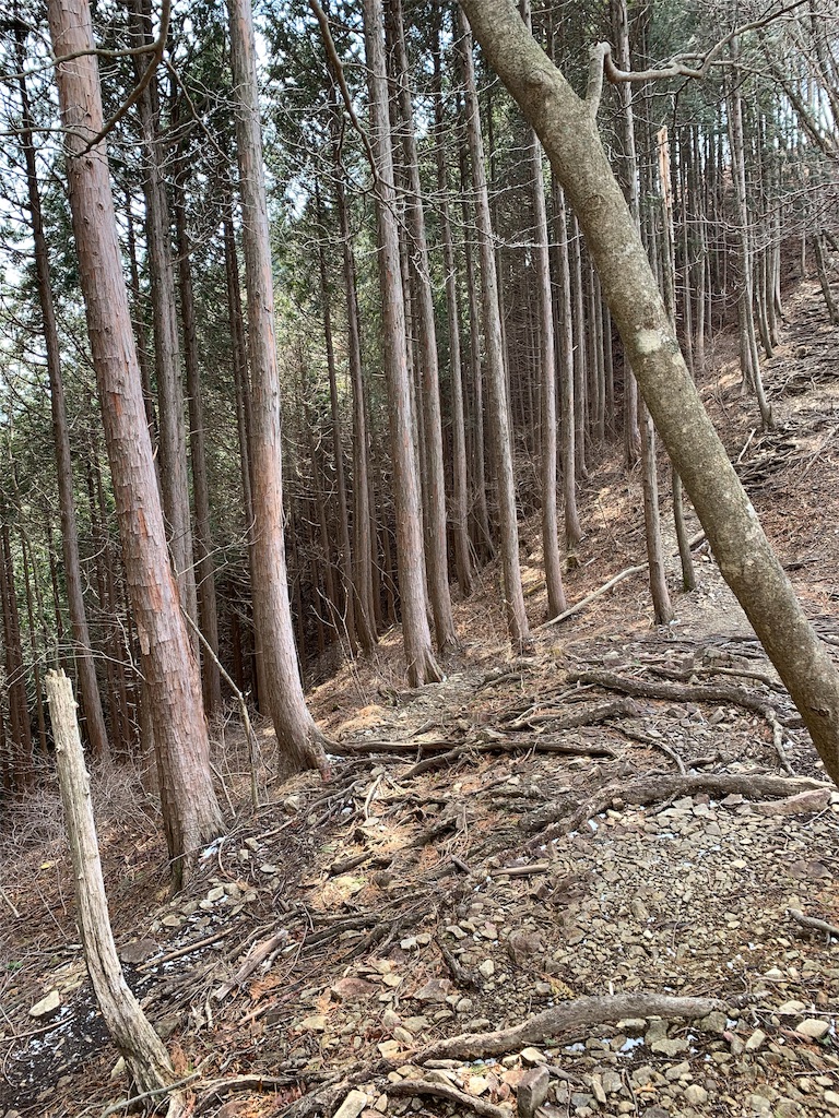 f:id:Acrophobia:20190318015343j:image
