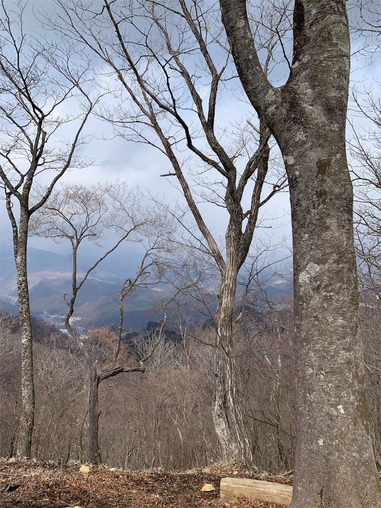 f:id:Acrophobia:20190318015601j:image