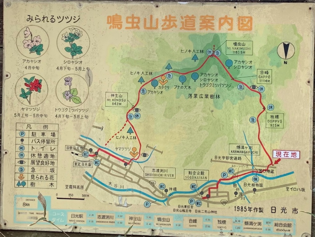 f:id:Acrophobia:20190318020449j:image