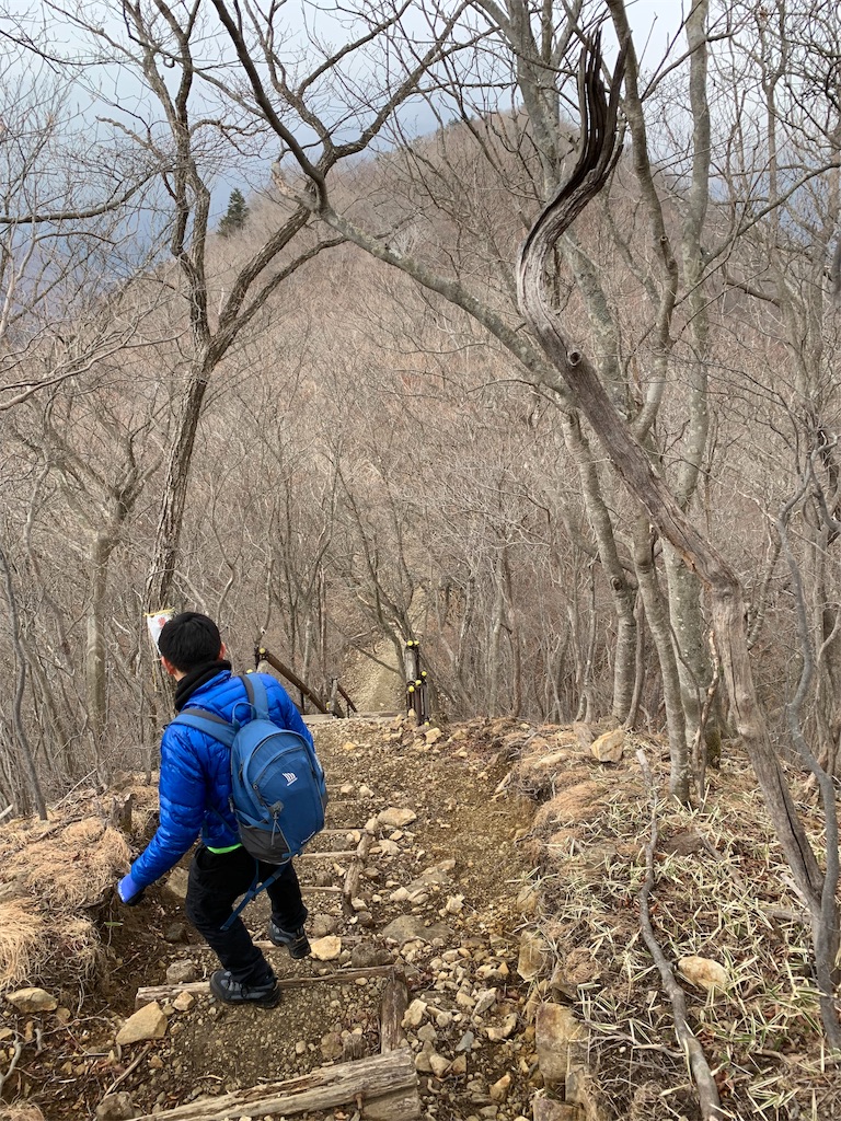 f:id:Acrophobia:20190318021026j:image