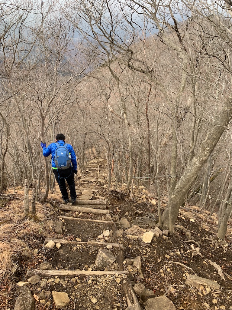 f:id:Acrophobia:20190318021030j:image