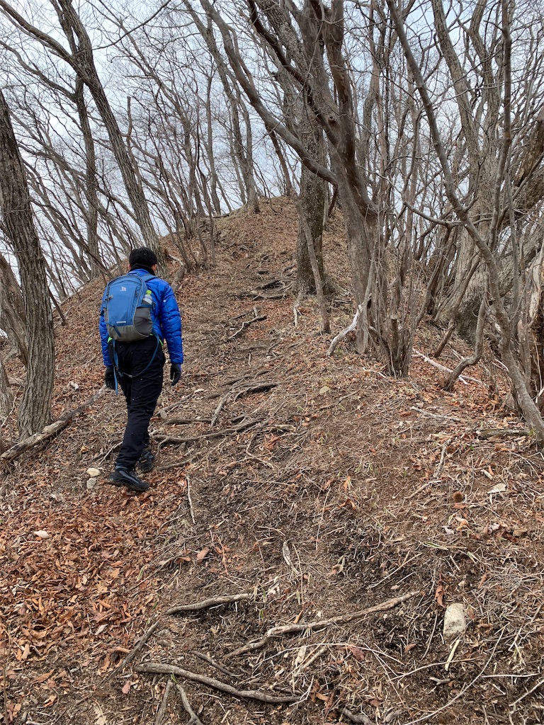 f:id:Acrophobia:20190319000223j:image
