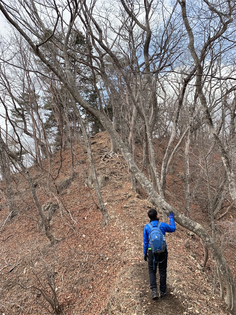 f:id:Acrophobia:20190319000227j:image