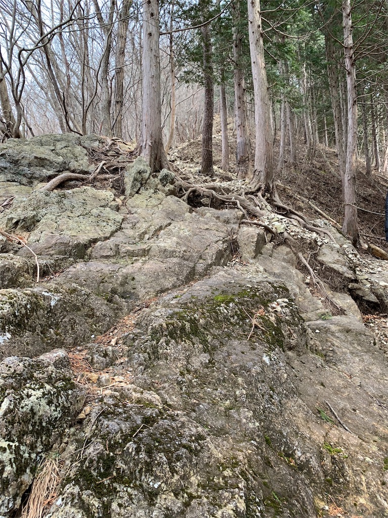 f:id:Acrophobia:20190319000542j:image