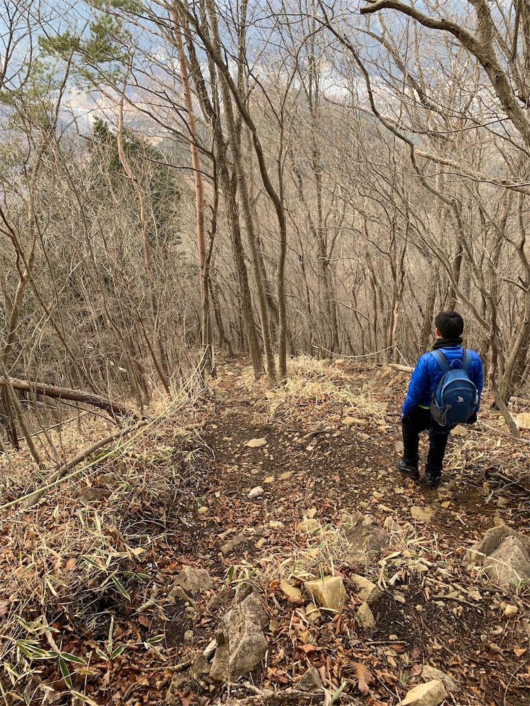 f:id:Acrophobia:20190319000552j:image