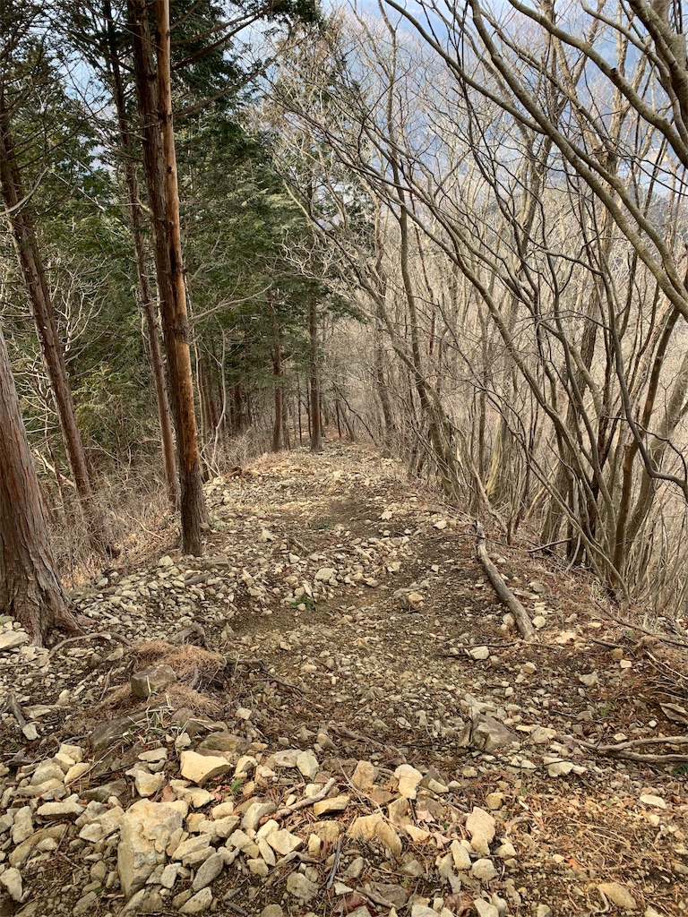f:id:Acrophobia:20190319000556j:image