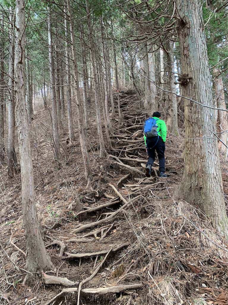 f:id:Acrophobia:20190319000600j:image