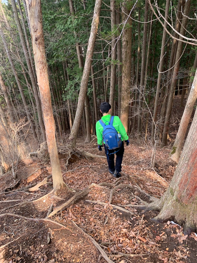f:id:Acrophobia:20190319001025j:image