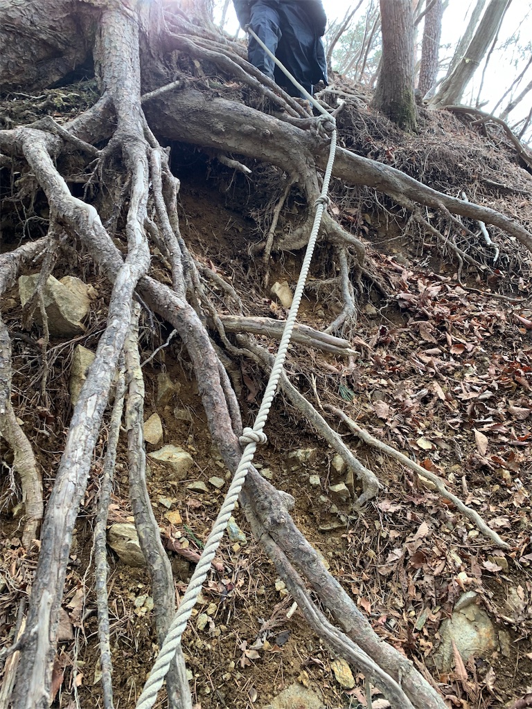 f:id:Acrophobia:20190319001030j:image