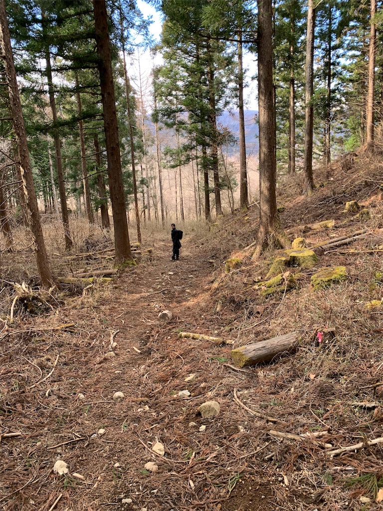 f:id:Acrophobia:20190319001135j:image