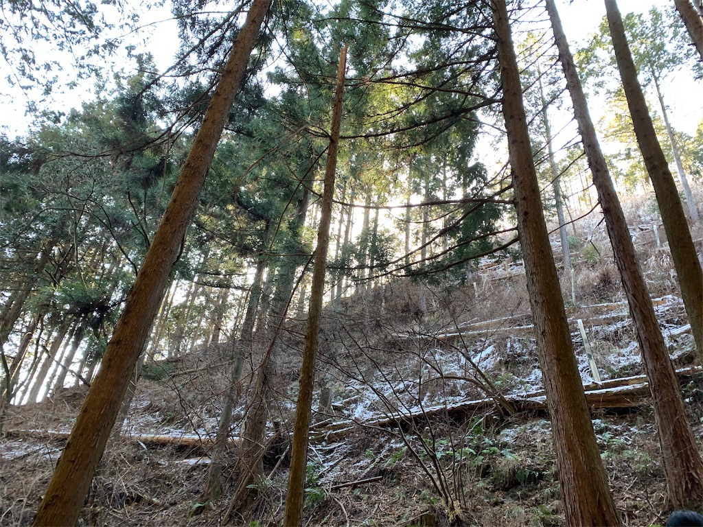 f:id:Acrophobia:20190319121627j:image