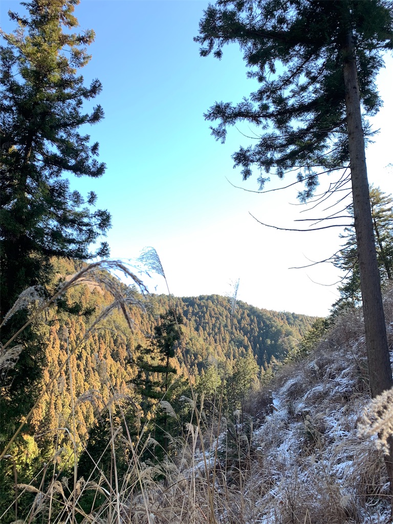 f:id:Acrophobia:20190319121636j:image