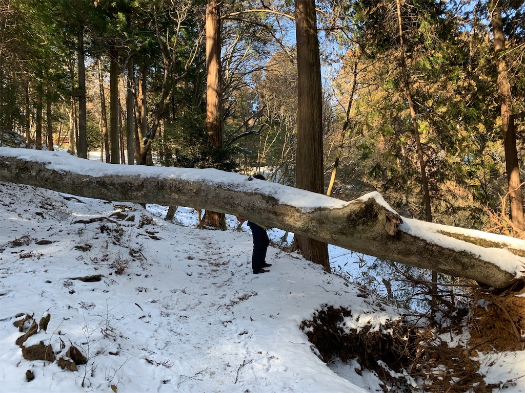 f:id:Acrophobia:20190319121900j:image