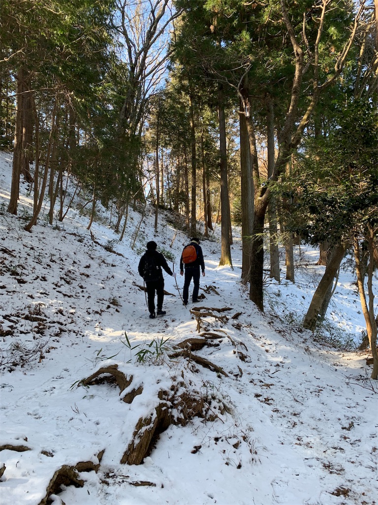 f:id:Acrophobia:20190319121905j:image