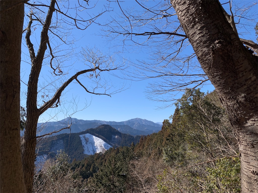 f:id:Acrophobia:20190319122543j:image