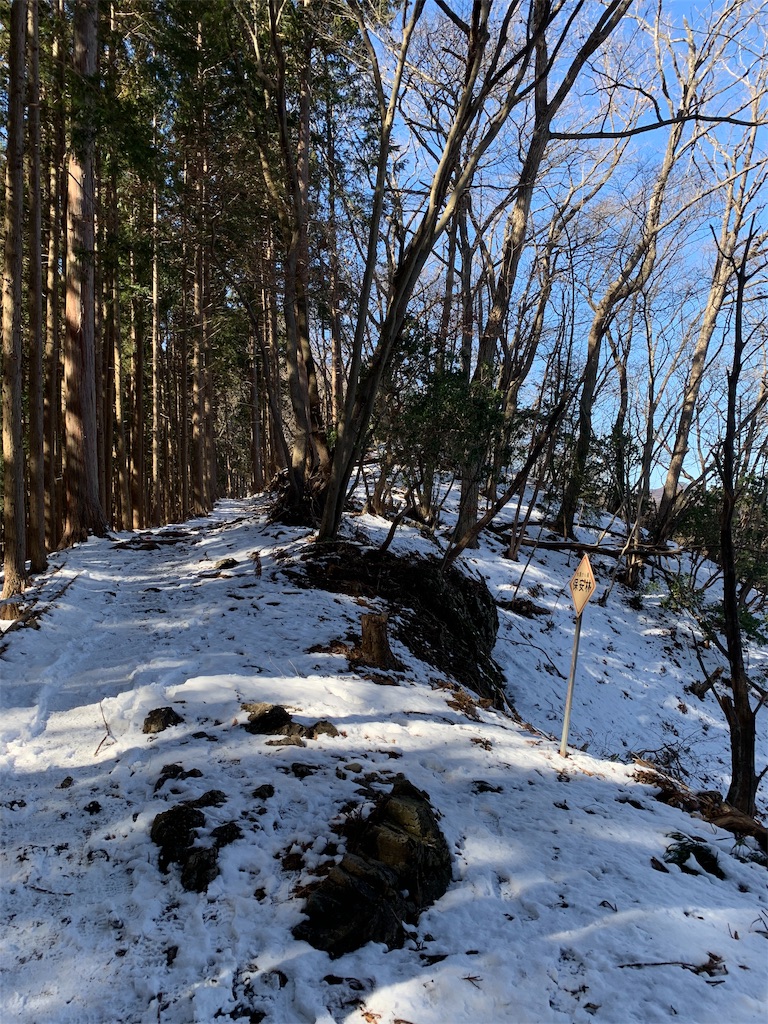 f:id:Acrophobia:20190319122547j:image