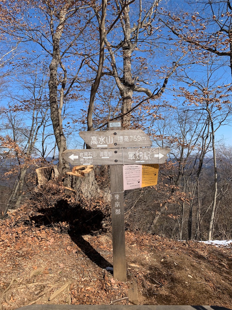 f:id:Acrophobia:20190319122552j:image