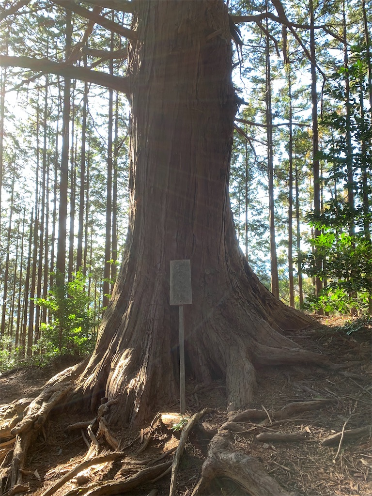 f:id:Acrophobia:20190319160855j:image