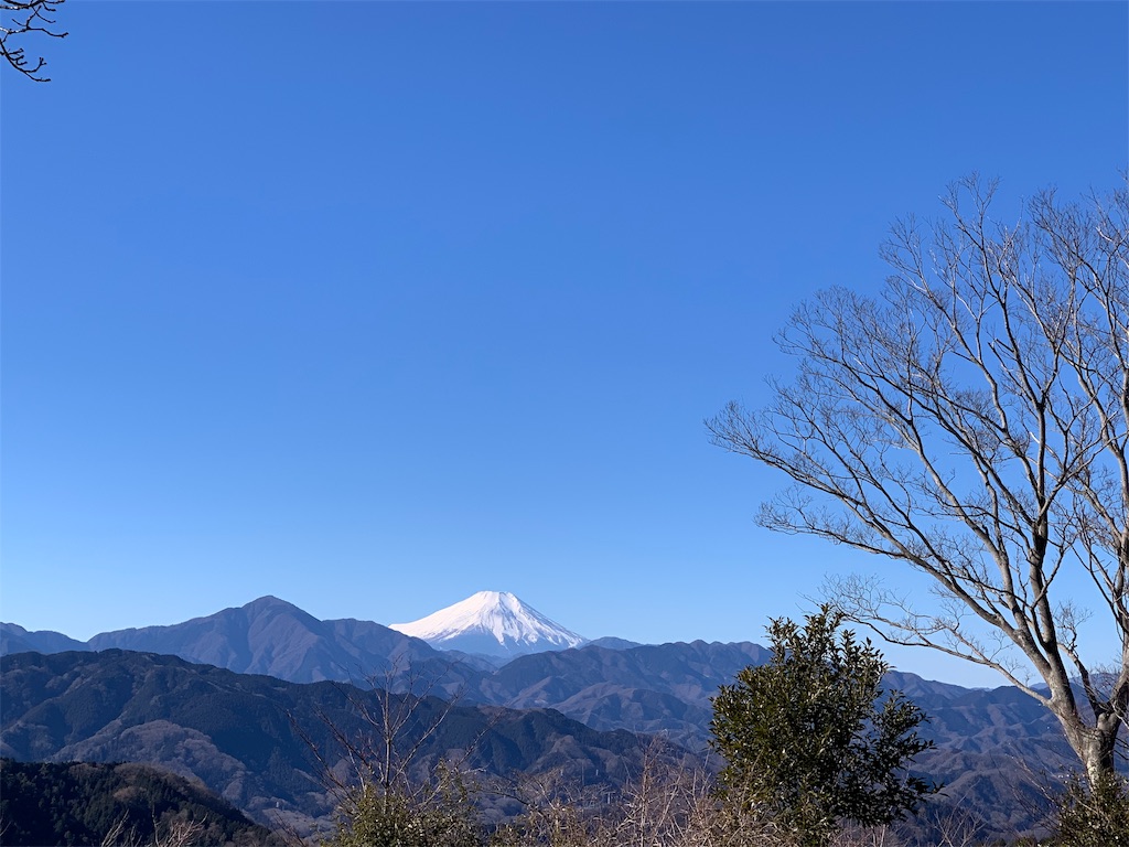 f:id:Acrophobia:20190319185604j:image