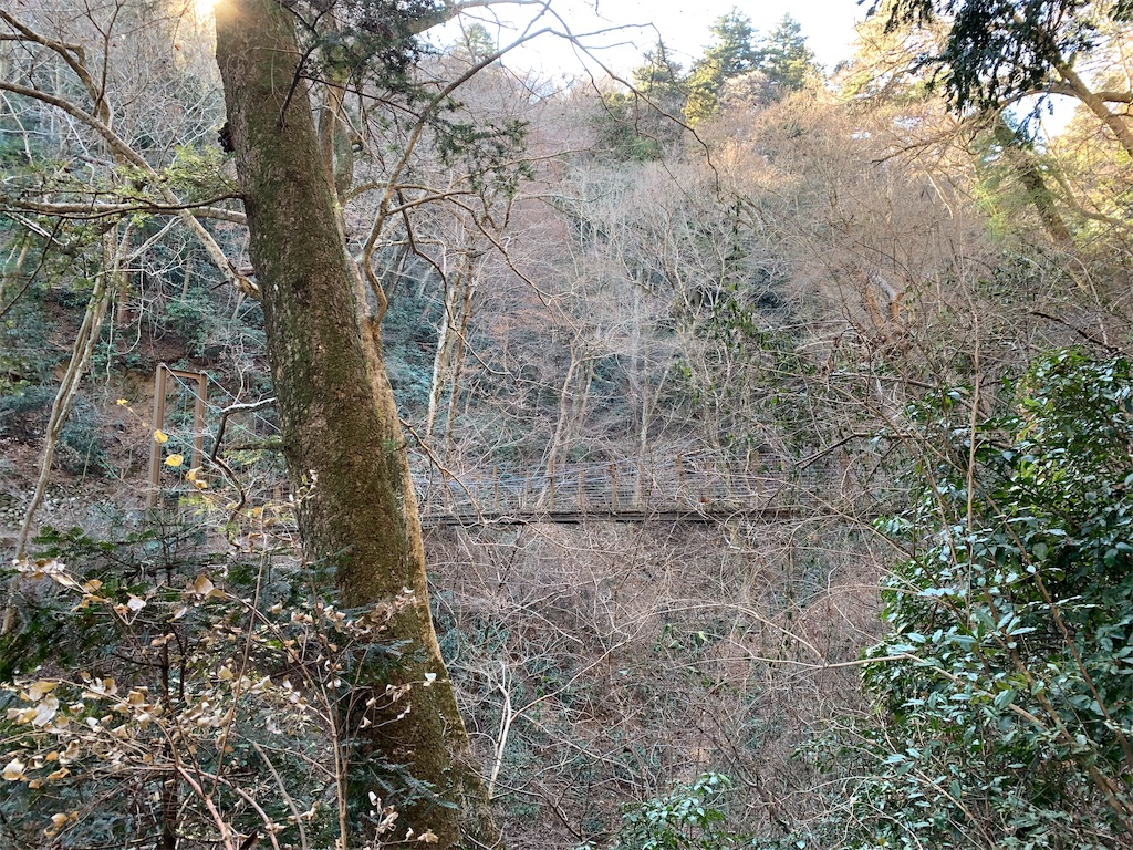 f:id:Acrophobia:20190319185610j:image
