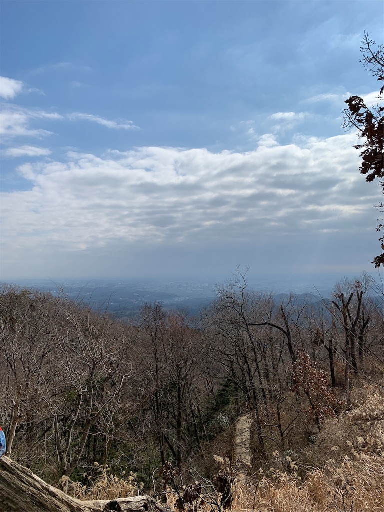 f:id:Acrophobia:20190319194054j:image