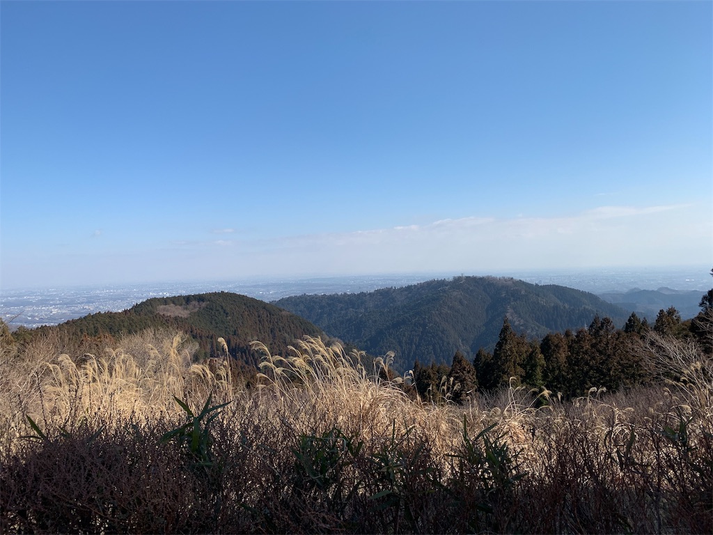 f:id:Acrophobia:20190319194104j:image