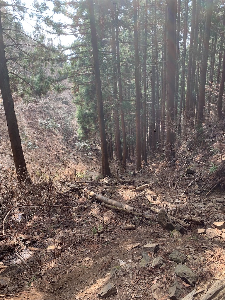 f:id:Acrophobia:20190320222826j:image