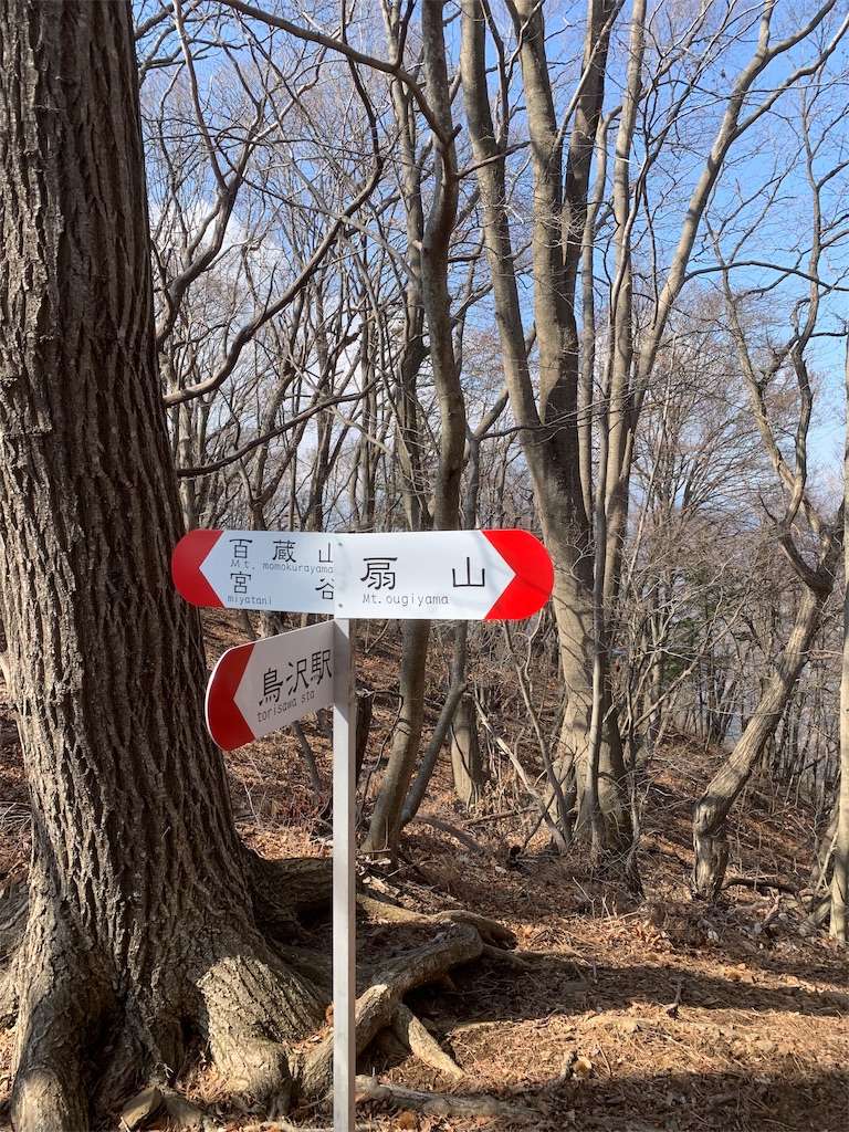 f:id:Acrophobia:20190320222901j:image