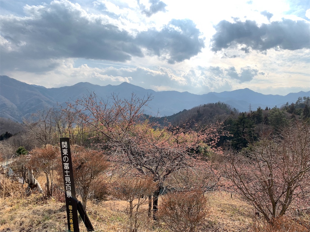 f:id:Acrophobia:20190320222911j:image