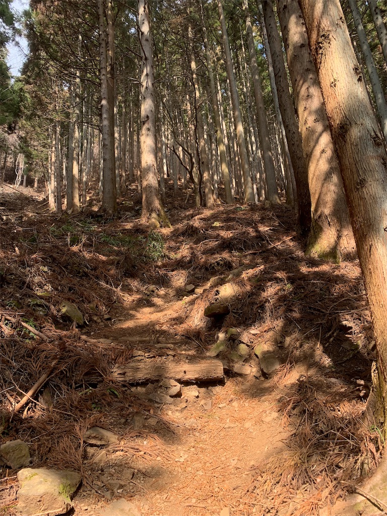 f:id:Acrophobia:20190320222916j:image