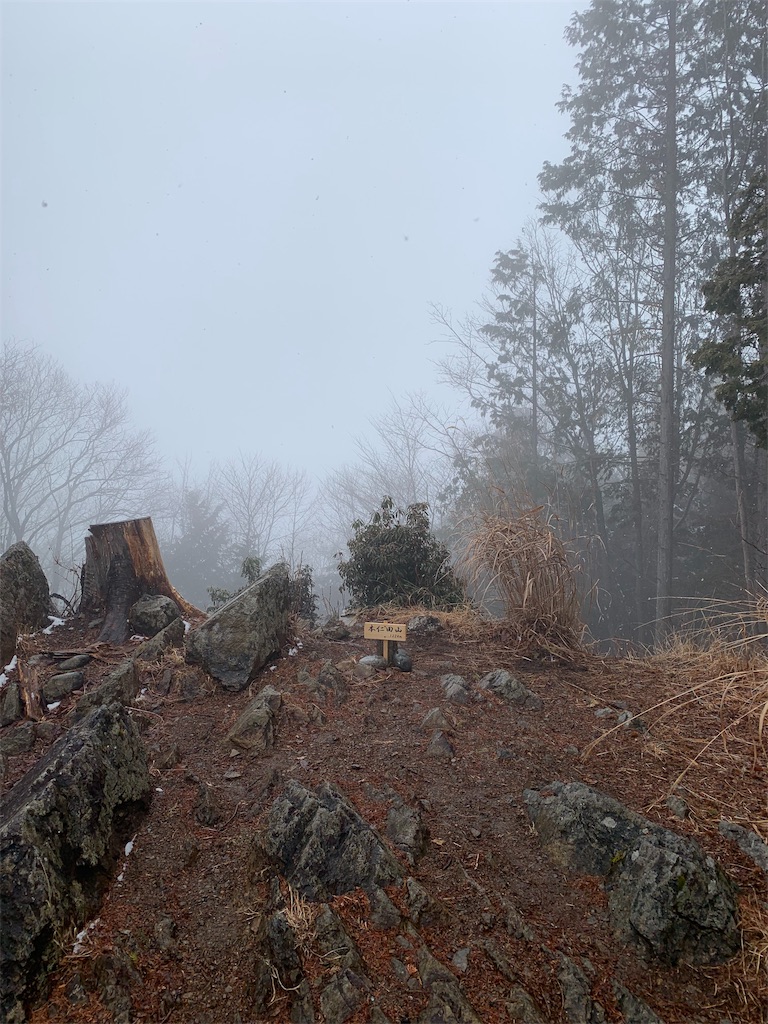 f:id:Acrophobia:20190321004500j:image