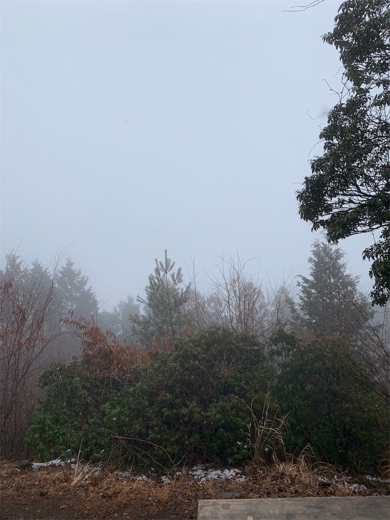 f:id:Acrophobia:20190321004519j:image