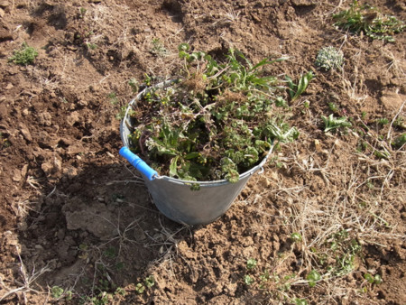 f:id:Actindi:20110301070747j:image