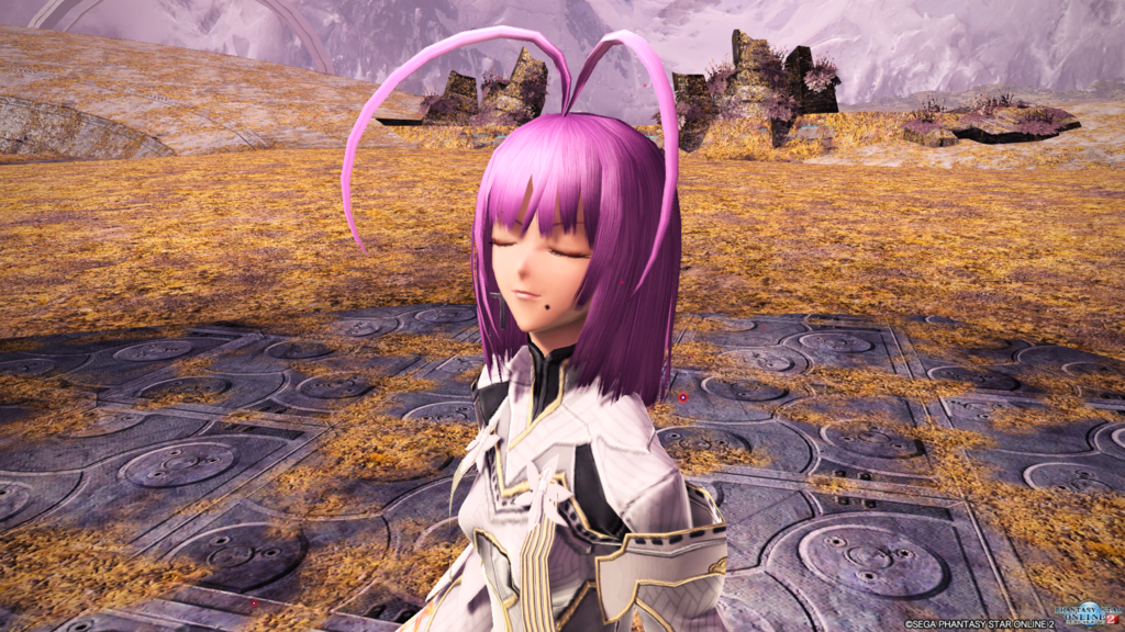 f:id:Acxyorchid:20161231224435p:plain