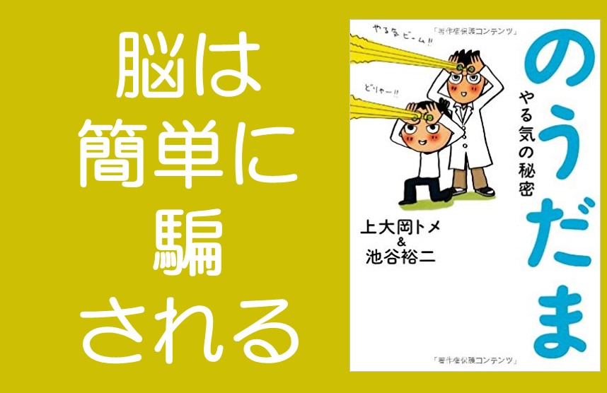 f:id:Ada_bana:20190728231906j:plain f:id:Ada_bana:20190728231906j:plain
