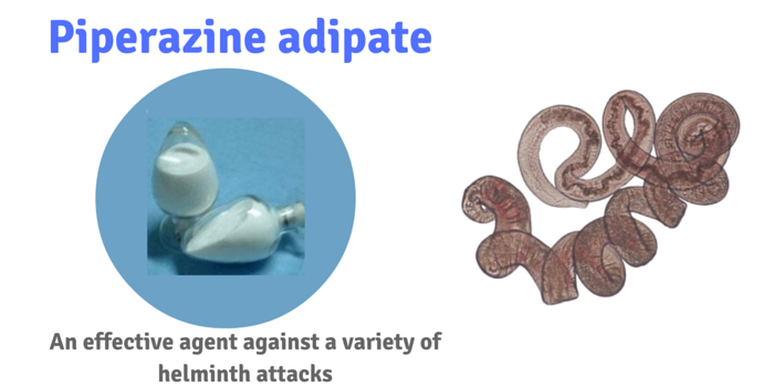 f:id:AdaniPharma:20160628215810p:plain