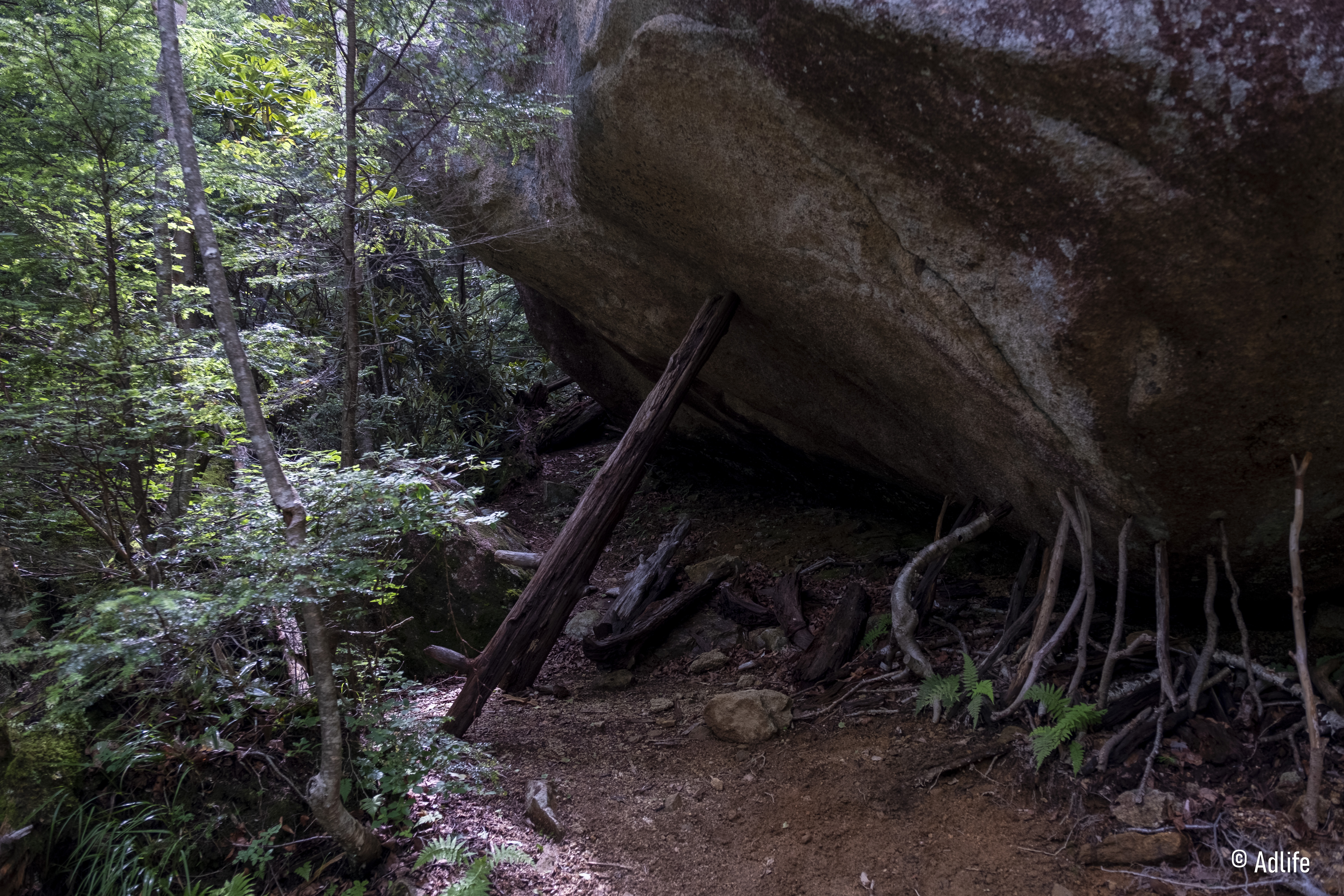 8月】瑞牆山：瑞牆山荘より登る -奥秩父 巨岩の森- - AdLife