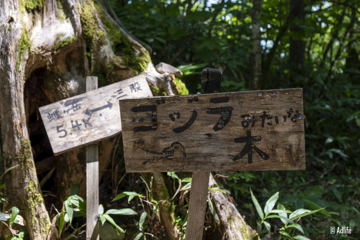 ゴジさんの看板