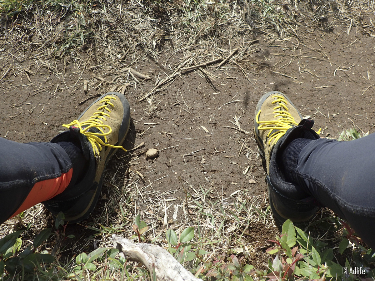 f:id:Adder:20210313125400j:plain