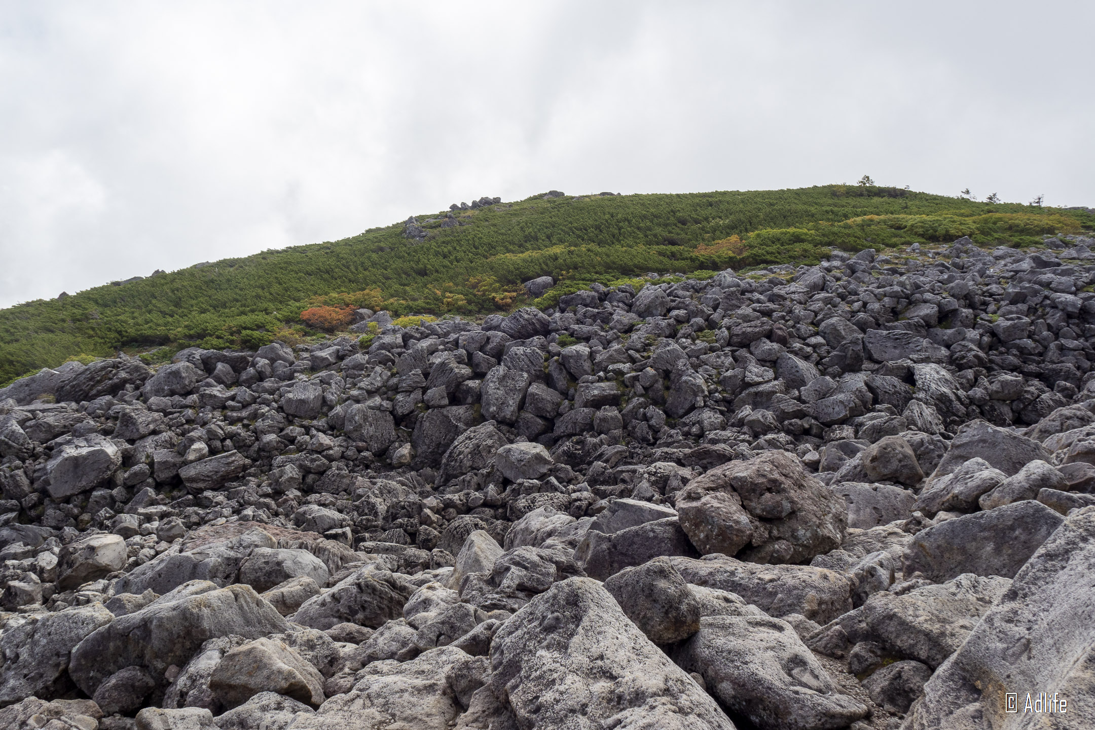 f:id:Adder:20210313125851j:plain