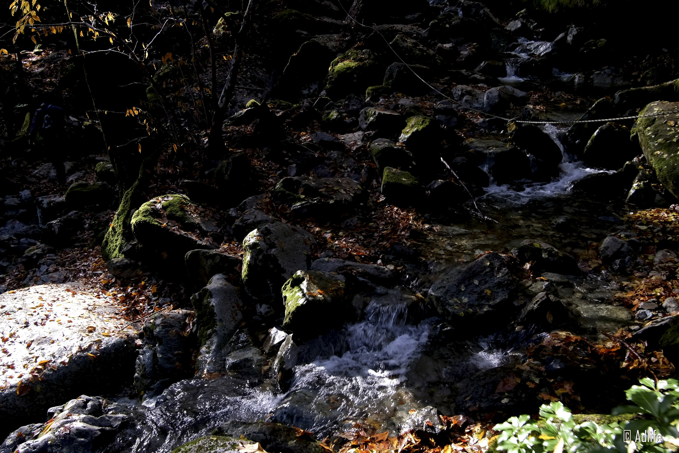 f:id:Adder:20210313130204j:plain